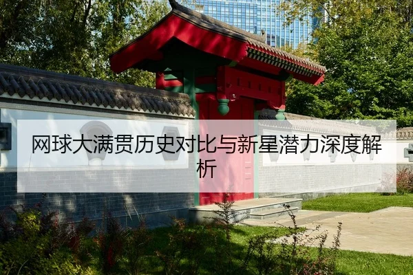 wang-qiu-da-man-guan-li-shi-dui-bi-yu-xin-xing-qian-li-shen-du-jie-xi-2-380.jpg